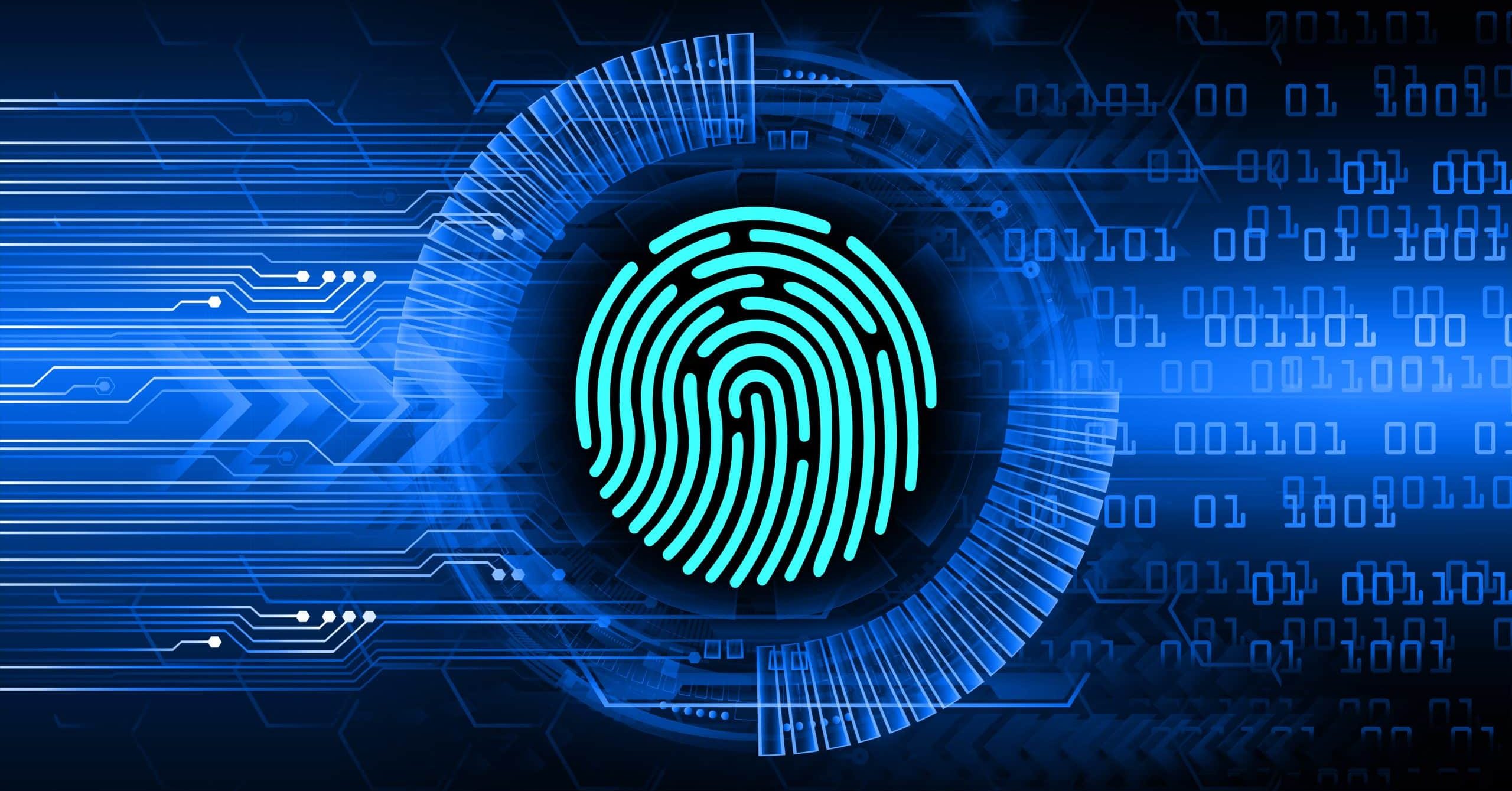 Software forensic